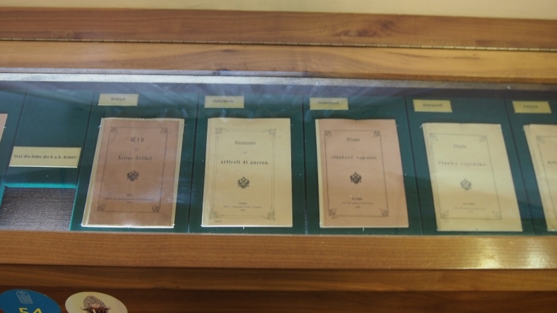 Холодно, теплее, горячо. Москва - Эстония и далее Хорватия. 7 путешествие Поли.