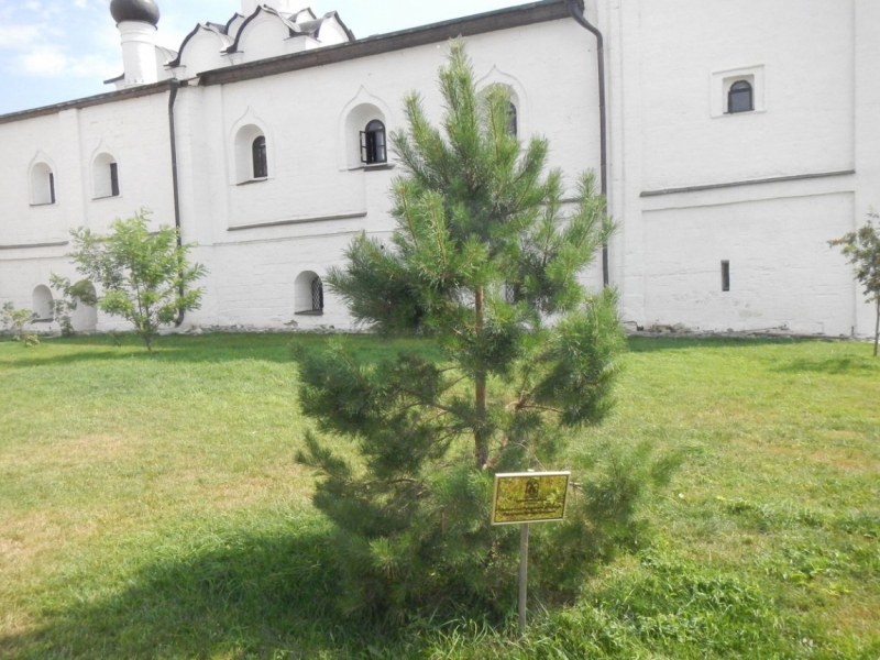 Казань-Булгар-Свияжск-Нижний Новгород, 5 дней, фото и видеоотчет