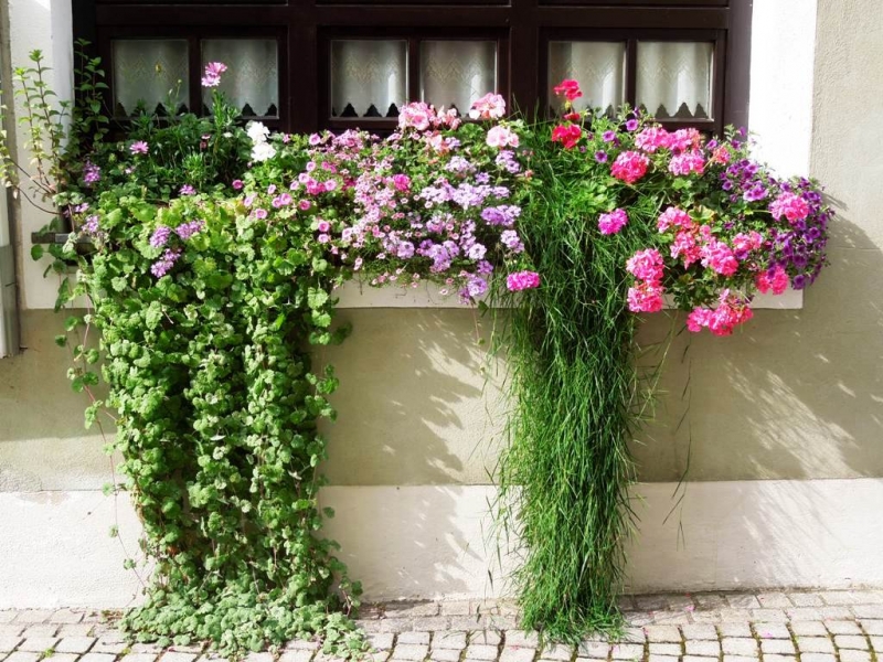 2016,июль. Нижний Алльгой: Мемминген, Оттобойрен, Миндельхайм, БадВёрисхофен, Лансдберг-на-Лехе