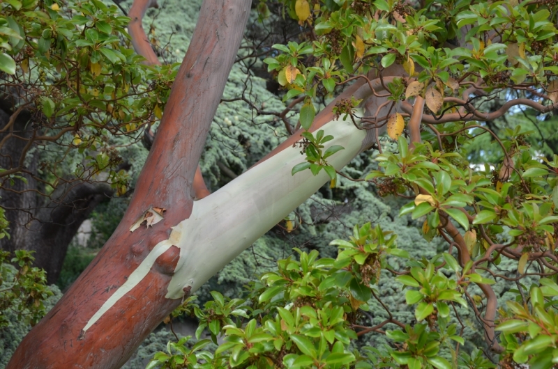 Западный берег Крыма: мыс Тарханкут, пещерные города, Севастополь и Форос. Май 2016
