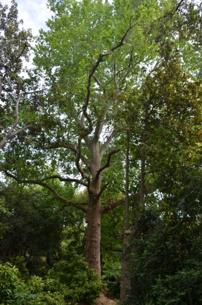 Западный берег Крыма: мыс Тарханкут, пещерные города, Севастополь и Форос. Май 2016