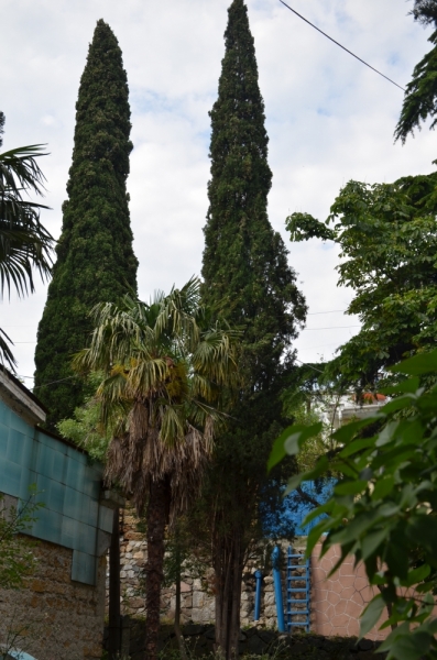 Западный берег Крыма: мыс Тарханкут, пещерные города, Севастополь и Форос. Май 2016