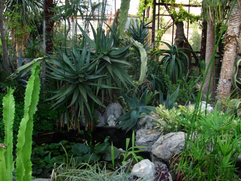 Западный берег Крыма: мыс Тарханкут, пещерные города, Севастополь и Форос. Май 2016