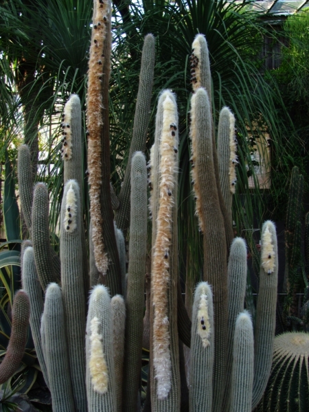 Западный берег Крыма: мыс Тарханкут, пещерные города, Севастополь и Форос. Май 2016