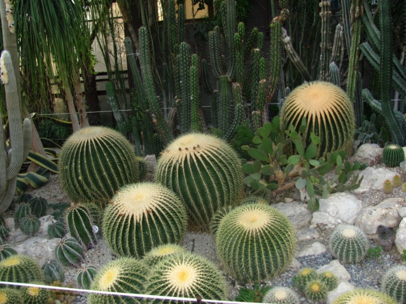 Западный берег Крыма: мыс Тарханкут, пещерные города, Севастополь и Форос. Май 2016