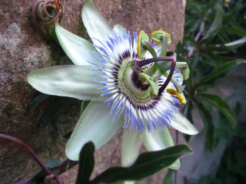 Западный берег Крыма: мыс Тарханкут, пещерные города, Севастополь и Форос. Май 2016