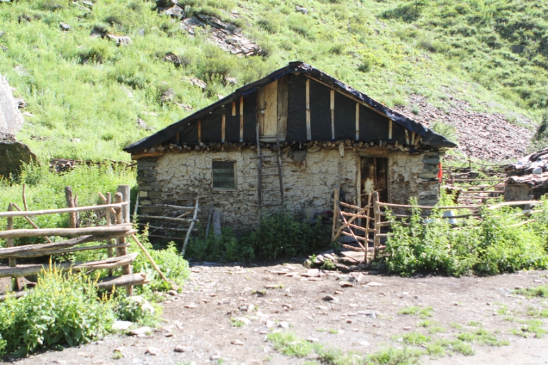 Как мы влюбились в Грузию. 8-25 июля 2016: Кахетия, Хевсуретия, Тбилиси, Степанцминда