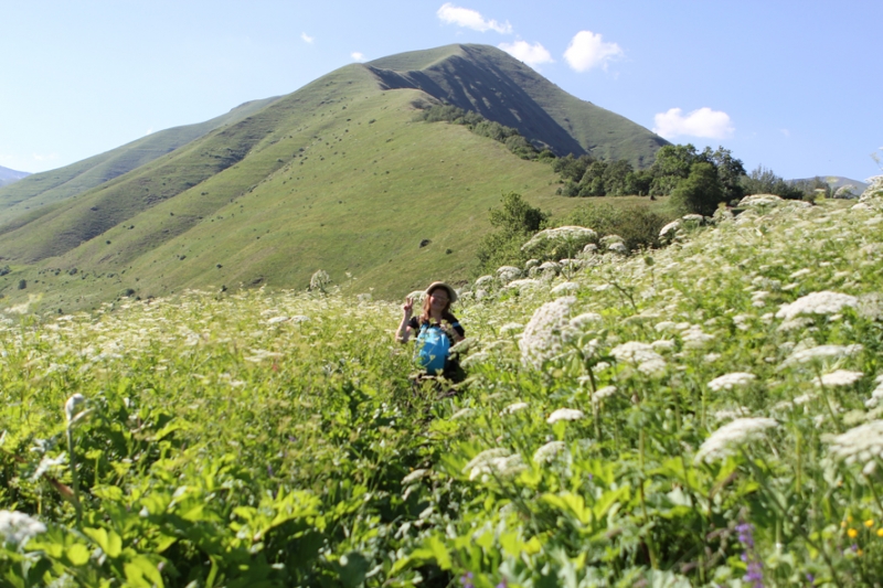 Как мы влюбились в Грузию. 8-25 июля 2016: Кахетия, Хевсуретия, Тбилиси, Степанцминда