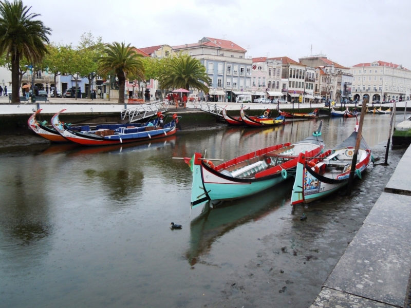 С севера на юг от дождя к солнцу