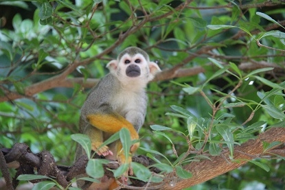 Из Москвы на побережье Адриатики в Италии. Москва - Лидо-Альтанеа - Москва