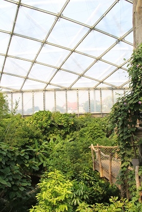 Из Москвы на побережье Адриатики в Италии. Москва - Лидо-Альтанеа - Москва