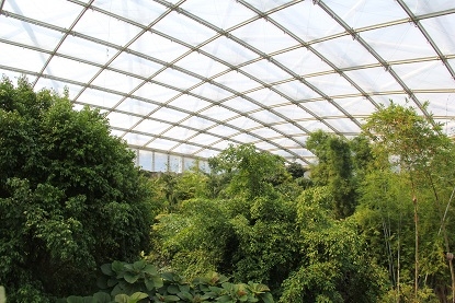 Из Москвы на побережье Адриатики в Италии. Москва - Лидо-Альтанеа - Москва