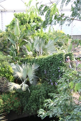 Из Москвы на побережье Адриатики в Италии. Москва - Лидо-Альтанеа - Москва