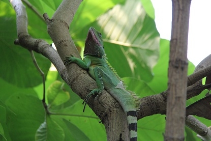Из Москвы на побережье Адриатики в Италии. Москва - Лидо-Альтанеа - Москва