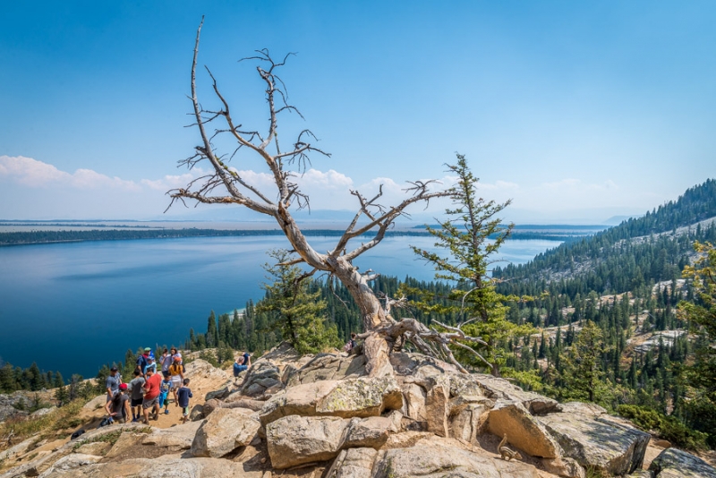 Grand Teton и Yellowstone: мультисемейный тур с элементами горного туризма и алкоголизма