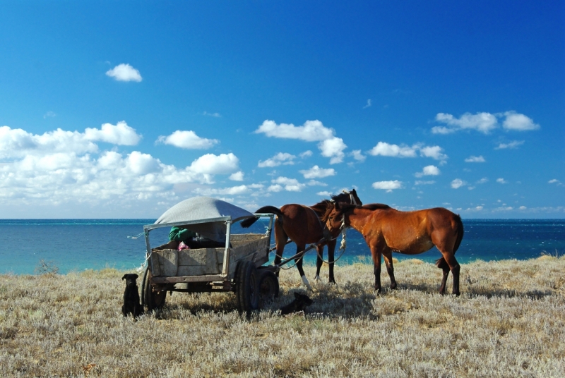 Крым, Яковенково, задворки цивилизации