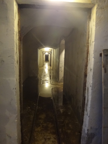 По южному северу(Карелия-Ленинградская и Вологодская области)