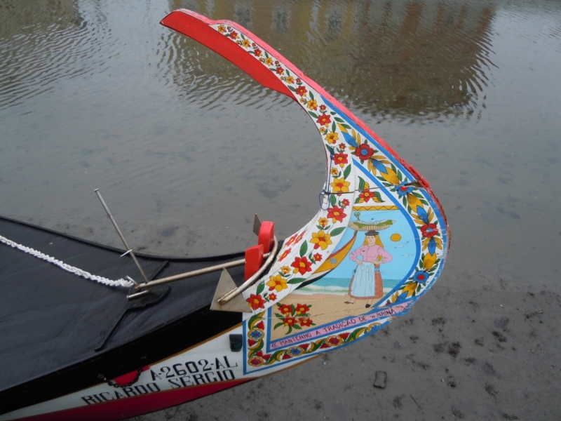 С севера на юг от дождя к солнцу