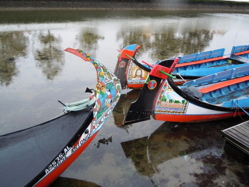 С севера на юг от дождя к солнцу