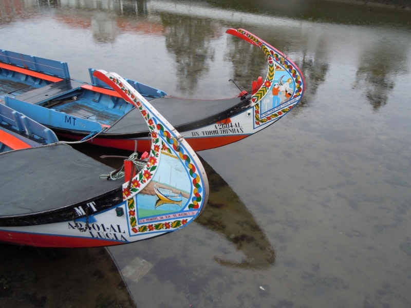 С севера на юг от дождя к солнцу