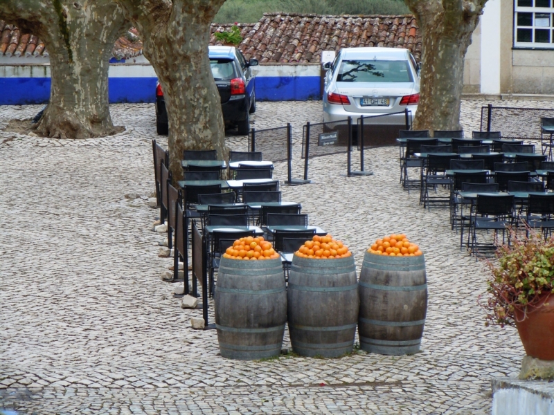 С севера на юг от дождя к солнцу