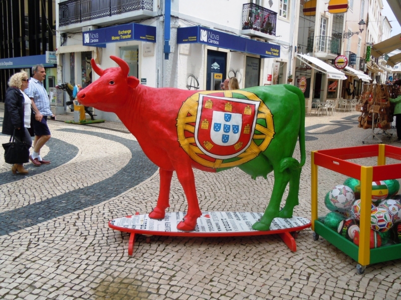 С севера на юг от дождя к солнцу