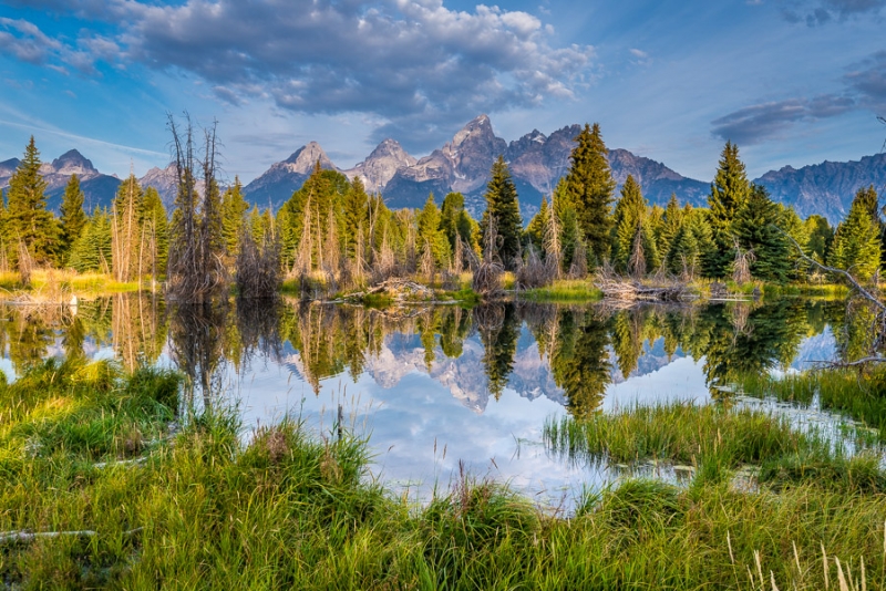 Grand Teton и Yellowstone: мультисемейный тур с элементами горного туризма и алкоголизма