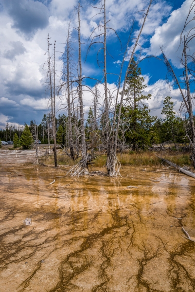 Grand Teton и Yellowstone: мультисемейный тур с элементами горного туризма и алкоголизма