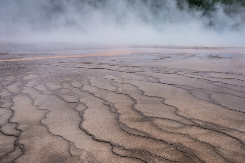 Grand Teton и Yellowstone: мультисемейный тур с элементами горного туризма и алкоголизма