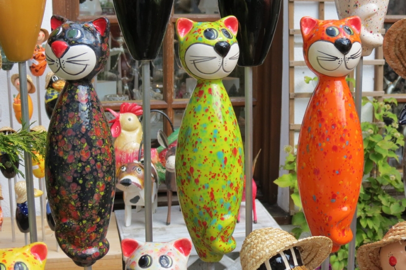 Поговорим о кошках41