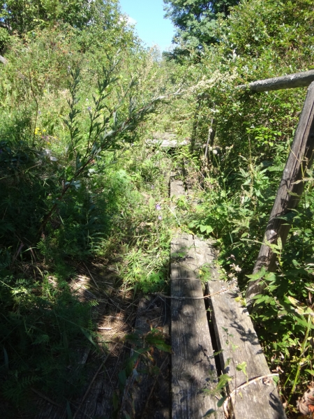 По южному северу(Карелия-Ленинградская и Вологодская области)