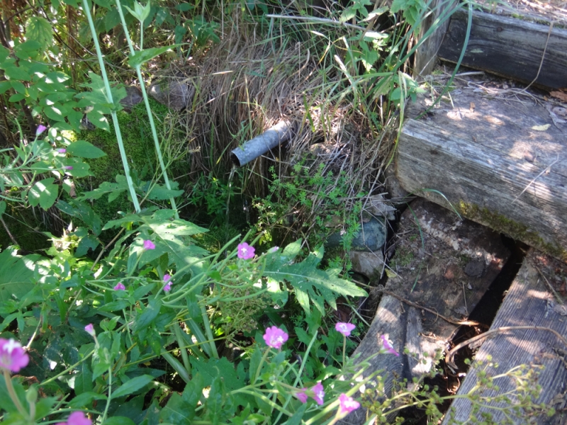 По южному северу(Карелия-Ленинградская и Вологодская области)