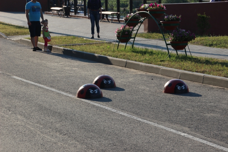 По южному северу(Карелия-Ленинградская и Вологодская области)