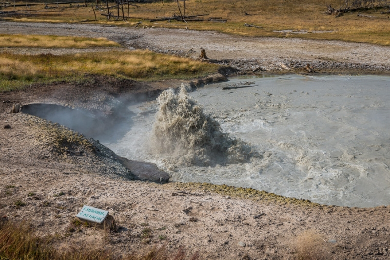 Grand Teton и Yellowstone: мультисемейный тур с элементами горного туризма и алкоголизма