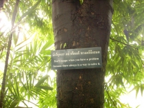 Чиангмай - Сукхотай - Аюттая - Ча-Ам, август 2011