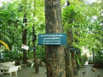 Чиангмай - Сукхотай - Аюттая - Ча-Ам, август 2011