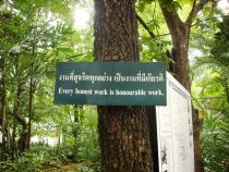 Чиангмай - Сукхотай - Аюттая - Ча-Ам, август 2011