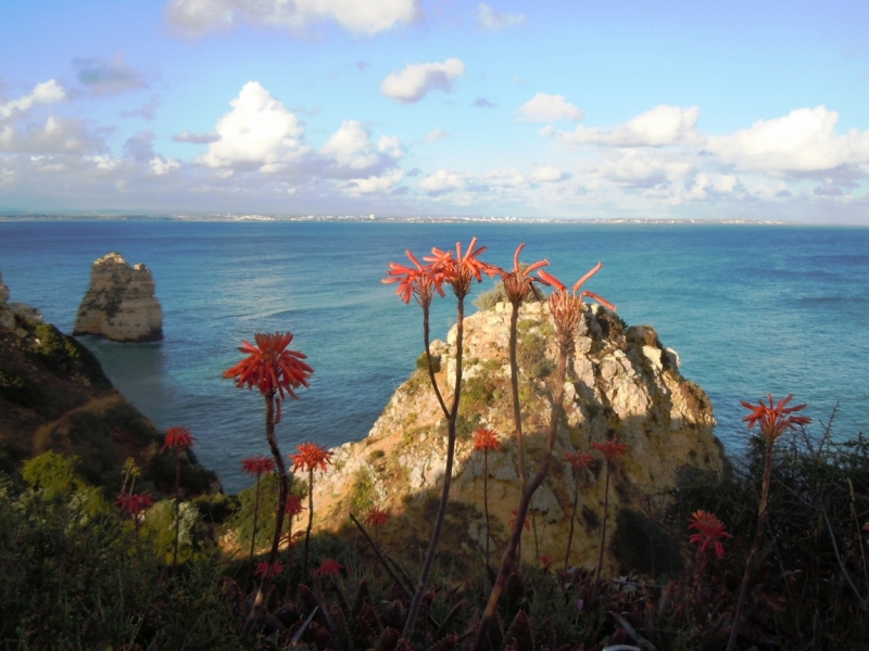 С севера на юг от дождя к солнцу