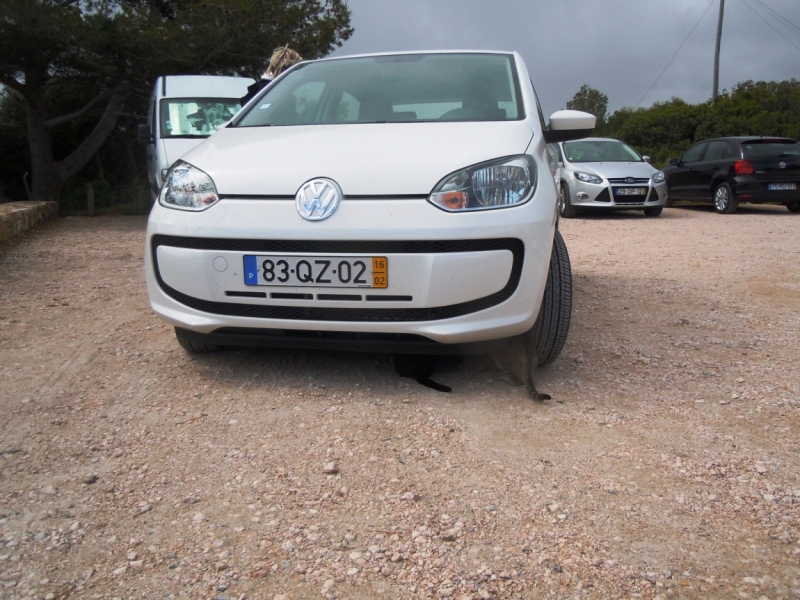 С севера на юг от дождя к солнцу