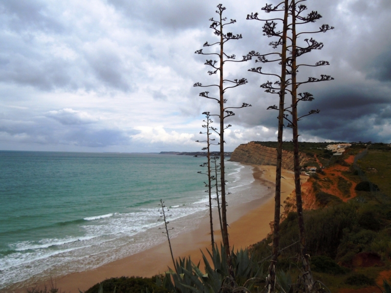 С севера на юг от дождя к солнцу