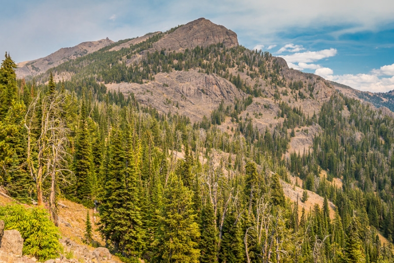 Grand Teton и Yellowstone: мультисемейный тур с элементами горного туризма и алкоголизма