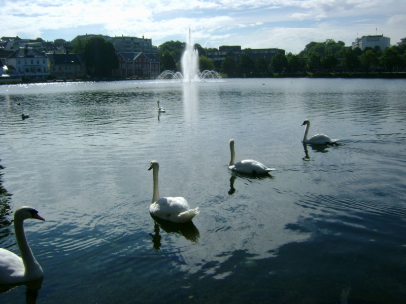 Из Петербурга до Прекестулена