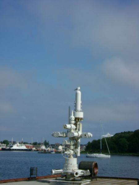 Из Петербурга до Прекестулена