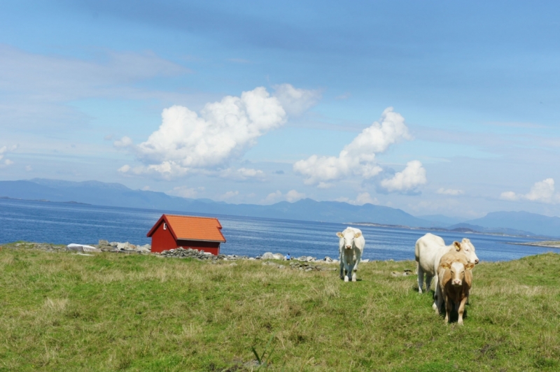 Из Петербурга до Прекестулена