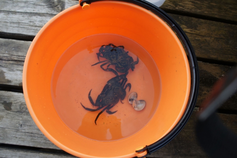 Из Петербурга до Прекестулена