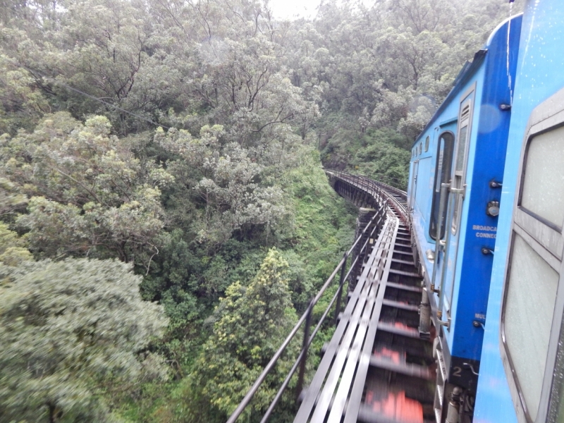 Мама, мы на Шри-Ланке: 13 дней в ноябре с ребенком. Просим советов по маршруту!