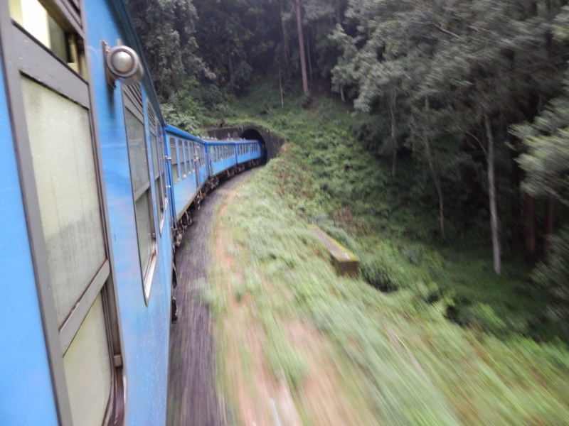 Мама, мы на Шри-Ланке: 13 дней в ноябре с ребенком. Просим советов по маршруту!