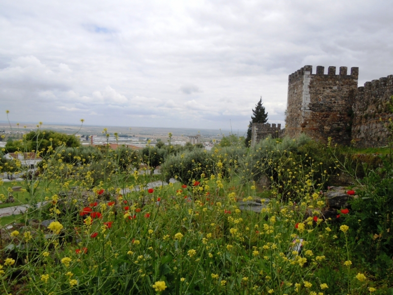 С севера на юг от дождя к солнцу