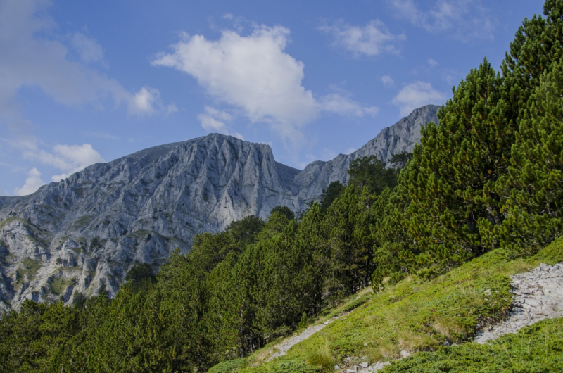 Покорение Олимпа