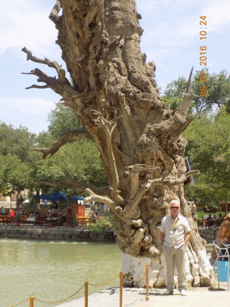 Автопробег по Средней Азии.  Россия - Казахстан – Узбекистан – Таджикистан